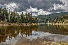 Галерия : Беглика 4