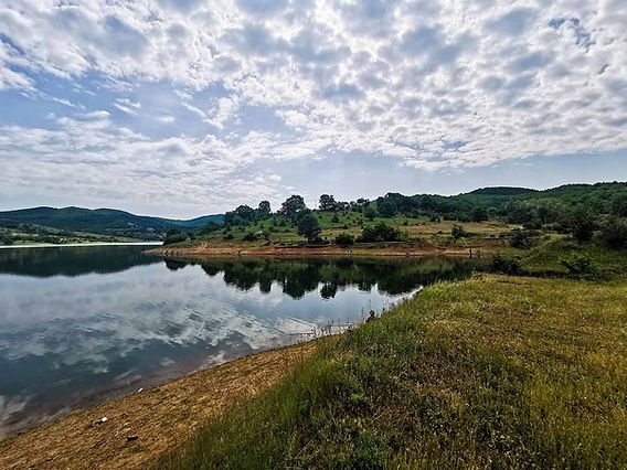 Язовир : Домлян