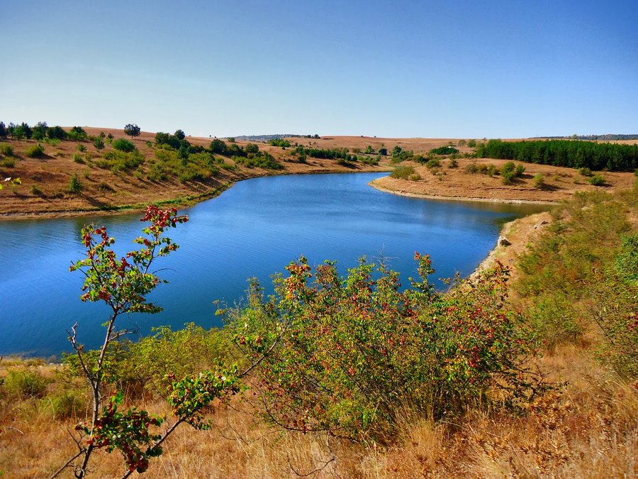 Галерия : Малко Шарково 2