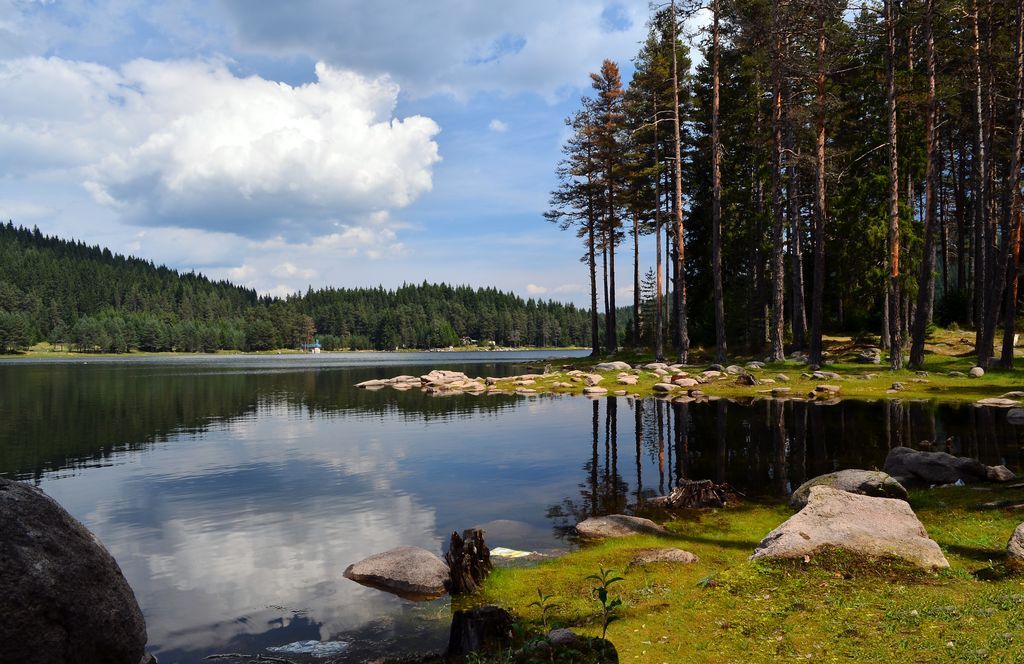 Галерия : Широка поляна 4