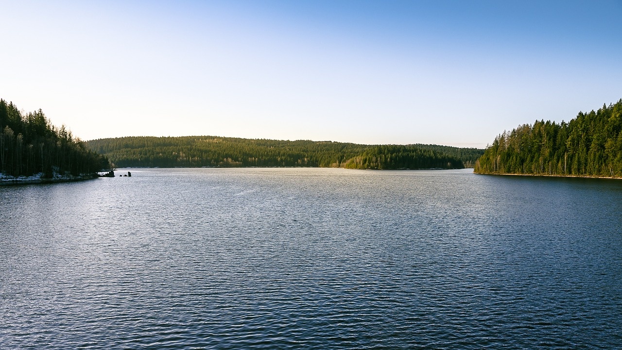 Галерия : Тича 1